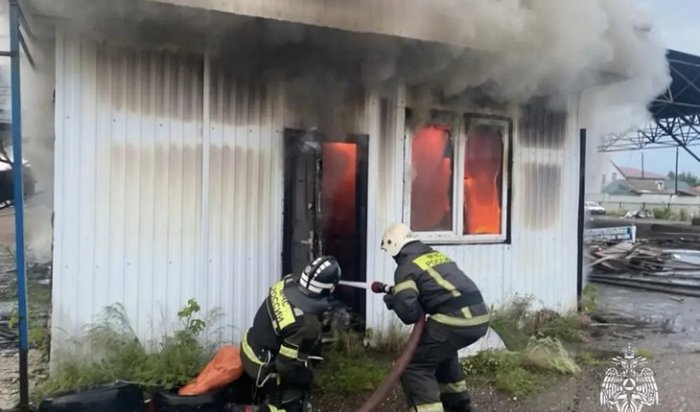 В Иркутской области в июне при пожарах погибли девять человек