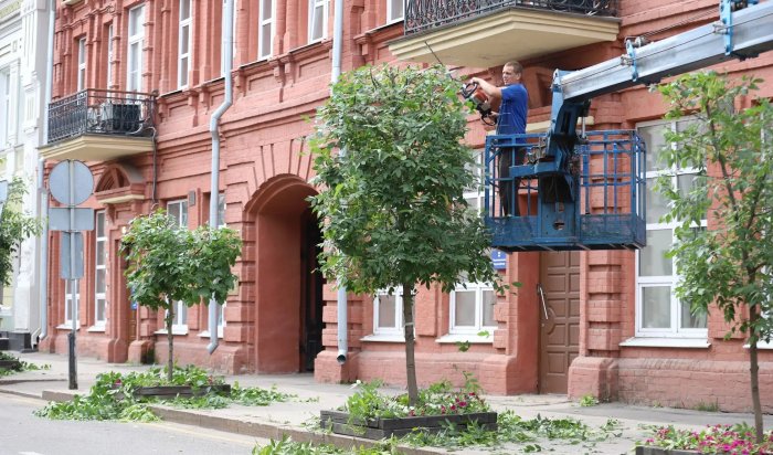 В Иркутске на улице Сухэ-Батора приступили к формовочной обрезке деревьев