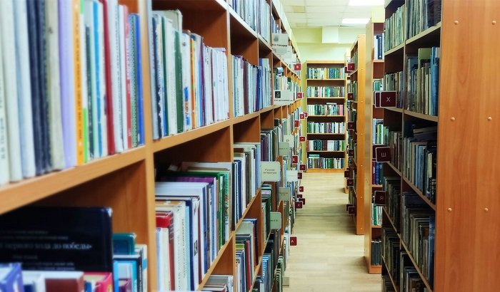 В Иркутске пройдёт встреча с детским писателем Ириной Барбанель