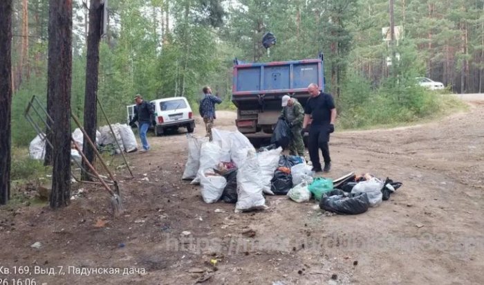 Мэр Братска предостерегает жителей от создания свалок в лесу из-за медведей