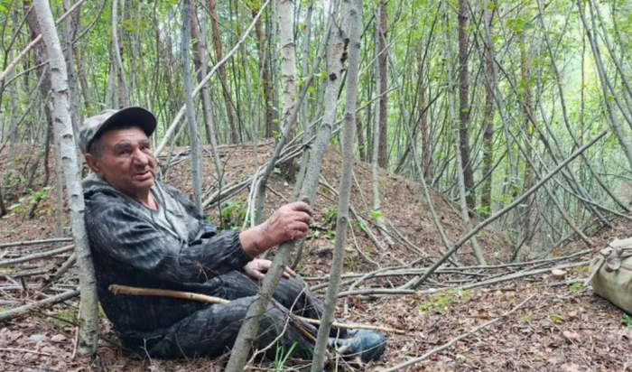 Спустя два дня в Тулуне нашли заблудившегося грибника