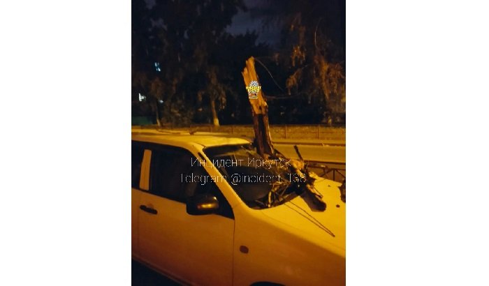 В Иркутске ветка тополя упала на припаркованный автомобиль