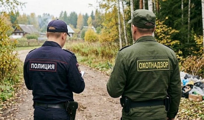 В Иркутской области ликвидируют 160 медведей