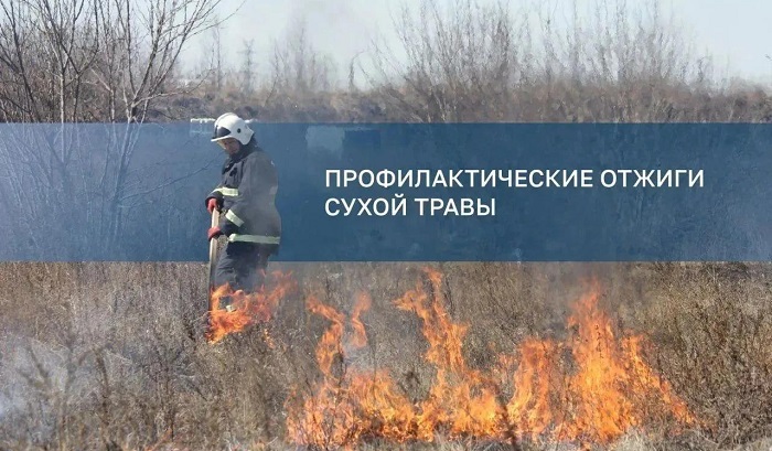 В Иркутске утвердили план осенних отжигов и покоса сухой травы
