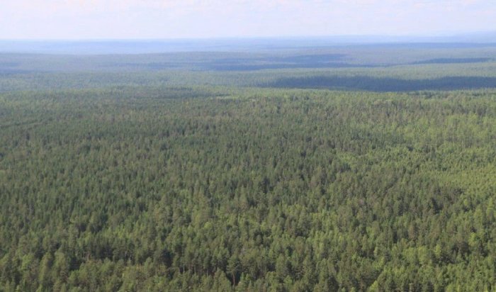 Два крупных лесных пожара потушили в Приангарье