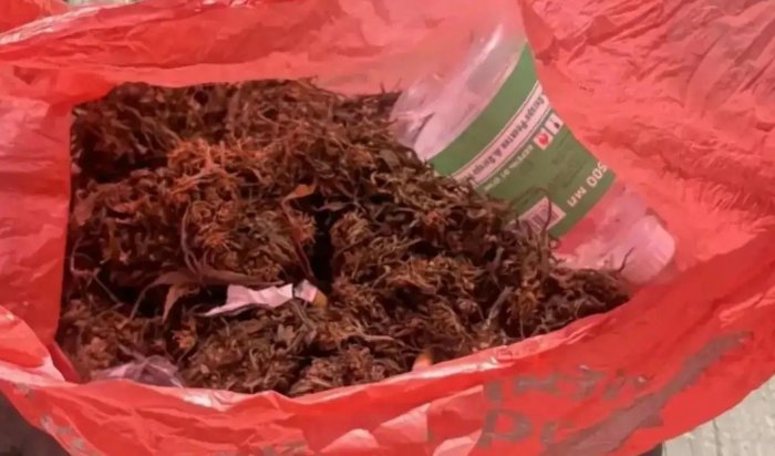 Килограмм конопли нашли у молодого человека в Боханском районе