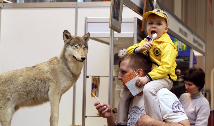 Выставка «Мир семьи. Страна детства» пройдет в Иркутске