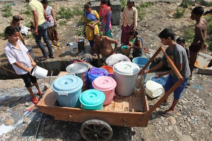От аномальной жары в Индии погибли более 600 человек