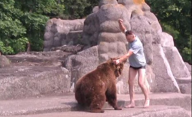 В Польше разыскивают посетителя зоопарка, напавшего на медведя