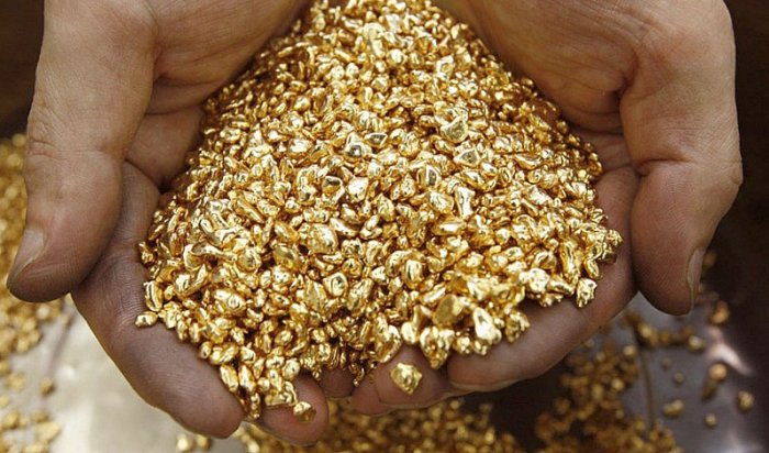 Нелегальную золотодобычу пресекли на севере Иркутской области