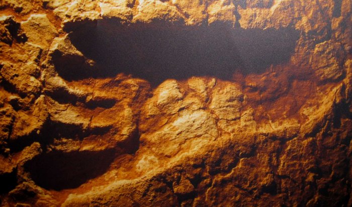На западе Канады обнаружены человеческие следы возрастом более 13 тыс. лет