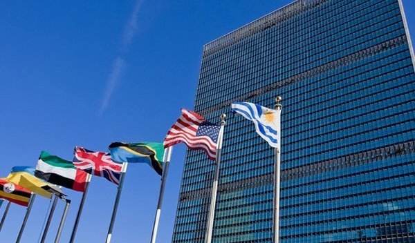 Этаж штаб-квартиры ООН  эвакуировали из-за клопов