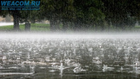 Сильные дожди и грозы вновь ожидаются в Иркутской области 8 июля