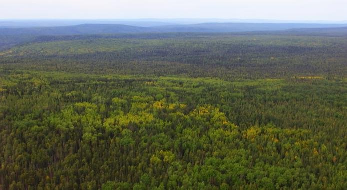 В Иркутской области горит более 2,5 тысяч гектаров леса