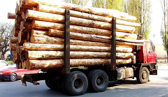 В Иркутске с начала года 380 водителей лесовозов привлечены к ответственности