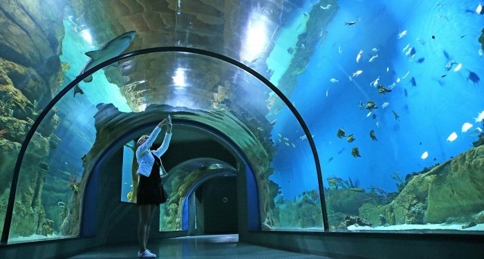 В Москве на ВДНХ открылся крупнейший в Европе океанариум
