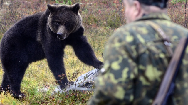В Приморье сотрудник ДПС застрелил брата,  убегая от медведя