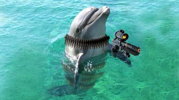 Израильский дельфин-шпион был пойман военными ХАМАС
