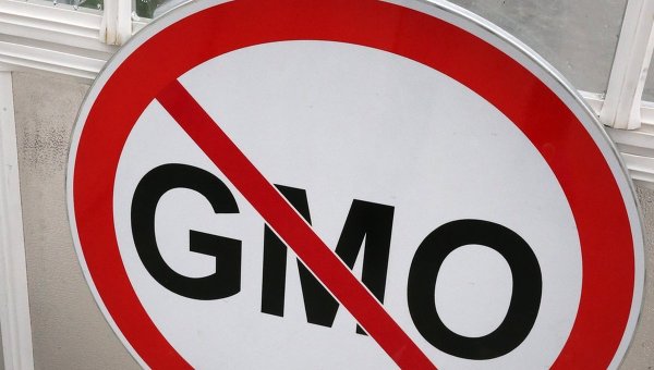 Россия не будет производить продукты с ГМО