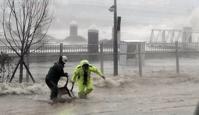 Пострадавшим от тайфуна «Гони» выплачено более 30 миллионов рублей
