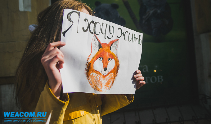 В Иркутске прошел всероссийский марш этичной моды «Животные — не одежда!»
