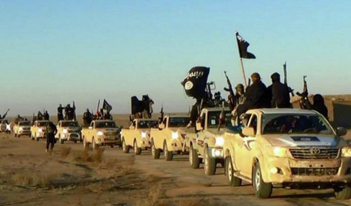 Власти США хотят знать, откуда у ИГИЛ тысячи пикапов и внедорожников Toyota