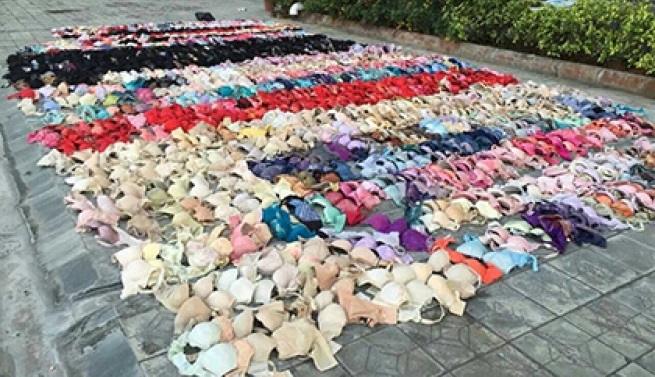 Китаец задержан за кражу 500 предметов женского белья с помощью удочки