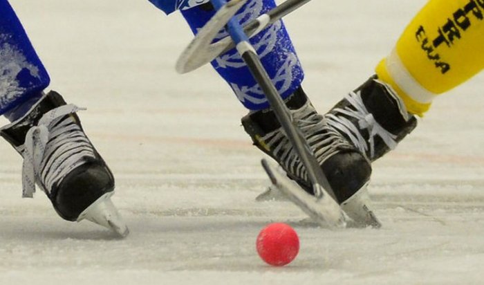 Дмитрий Бердников поддержал идею проведения в Иркутске ЧМ по хоккею с мячом