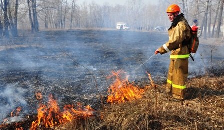 Правительство России запретило выжигать сухую траву