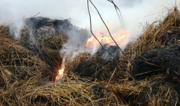 В Иркутском районе задержали подозреваемого в поджогах сена