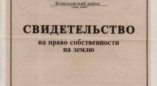 В Шелехове возбуждено уголовное дело по факту подделки документов