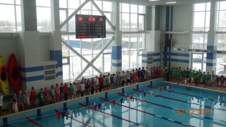В Иркутске в центре «Спартак» прошло открытое первенство по плаванию