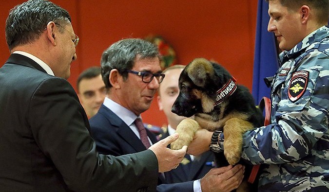 Посол Франции в России принял от МВД щенка Добрыню