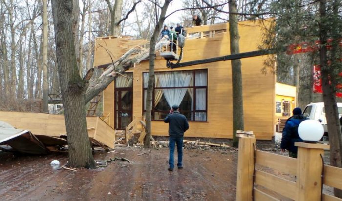СМИ: В Москве на коляски с двумя детьми упало дерево