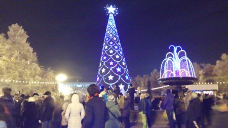 В Иркутске открылась главная ёлка города