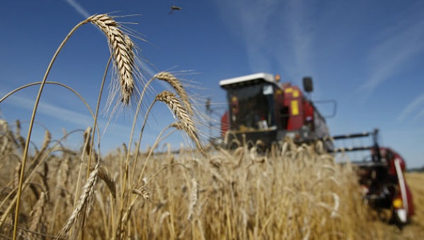 Иркутской области выделят 526,5 миллиона рублей на поддержку сельхозтоваропроизводителей