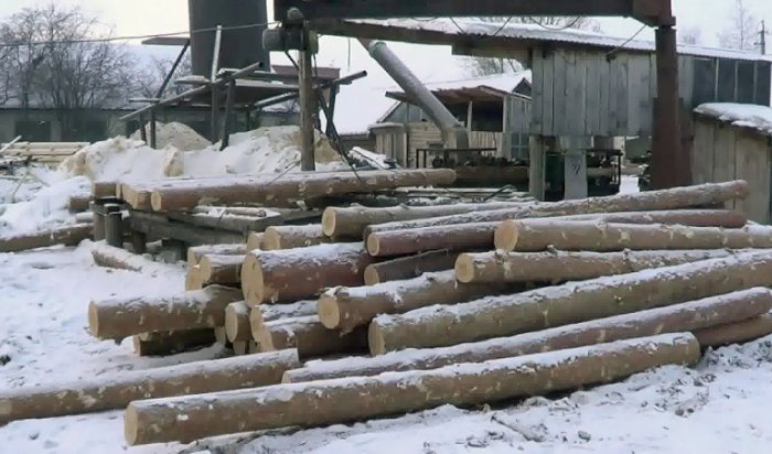 «Черные» лесорубы с крупной партией леса задержаны в Прибайкалье