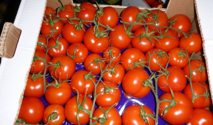 В Иркутске выявили около двух тонн санкционных овощей и фруктов