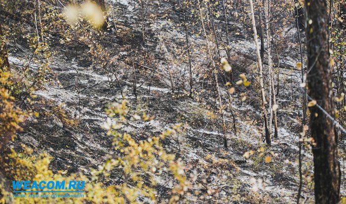 В Ольхонском районе задержаны поджигатели сухой травы