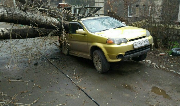 В Иркутске из-за сильного ветра рухнули деревья и бетонный столб