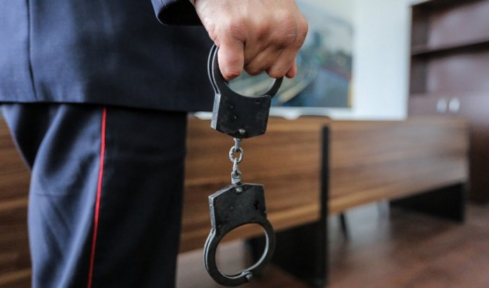 На Камчатке пьяная школьница избила полицейского