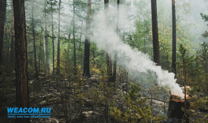 Левченко ввел в Иркутской области режим чрезвычайной ситуации в связи с лесными пожарами