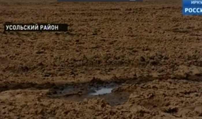 ОНФ: «Усольский свинокомплекс» сливает опасные отходы производства в почву