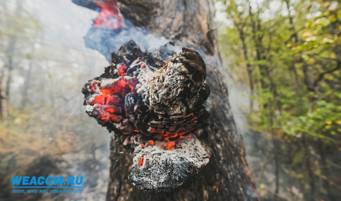 В Иркутской области ожидается чрезвычайный уровень пожароопасности лесов