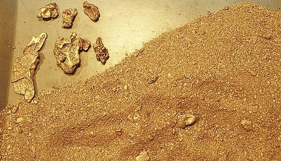 Житель Приамурья нашел в лесу банку с 880 граммами золота