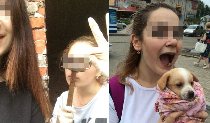 В Новосибирске задержали студентку, подозреваемую в пытках животных