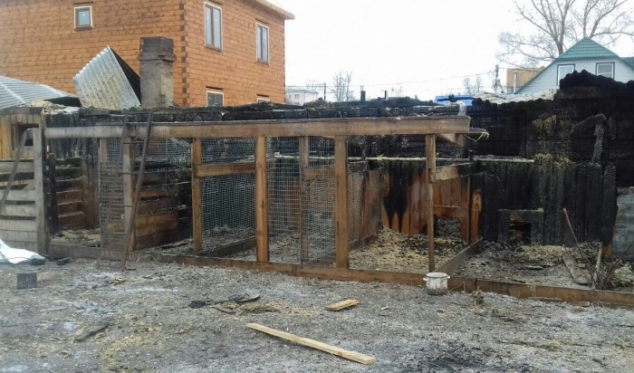 В Иркутске в частном подворье сгорели 800 домашних птиц и 8 свиней