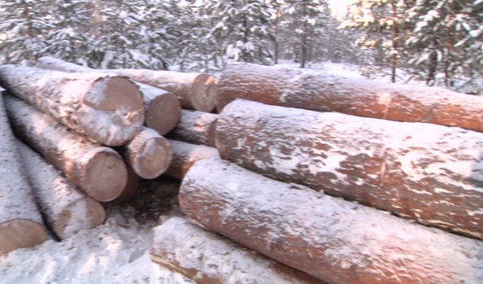 В Иркутском районе задержано пять нелегальных лесозаготовителей
