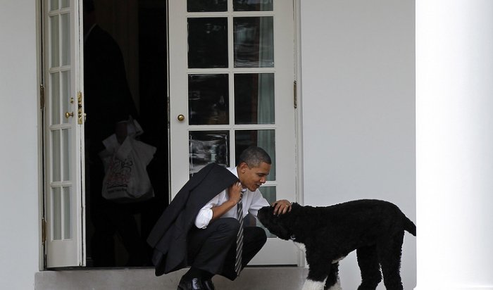 Собака Обамы покусала 18-летнюю посетительницу Белого дома
