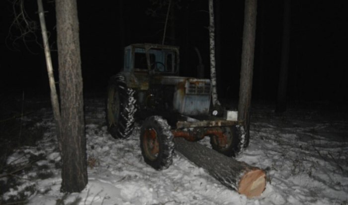 Под Иркутском задержаны трое жителей села Хомутова за незаконную вырубку леса